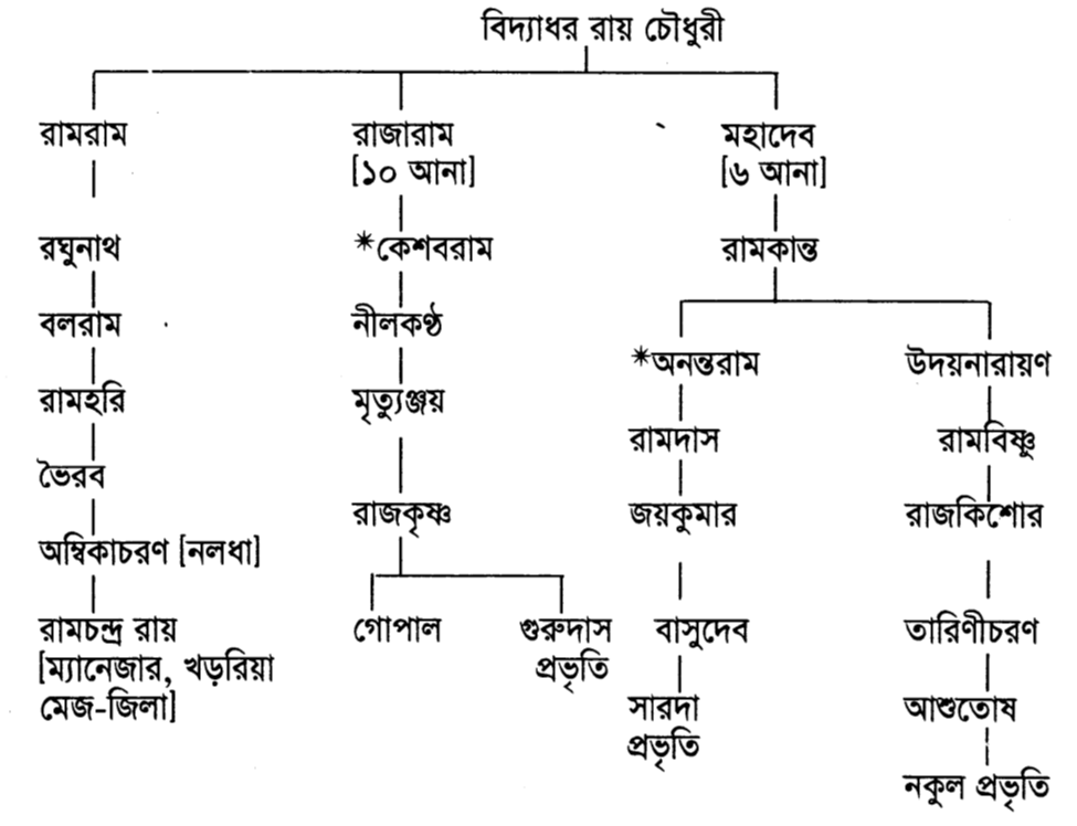 বিদ্যাধর রায়চৌধুরী