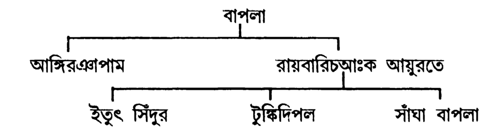 বাপলা