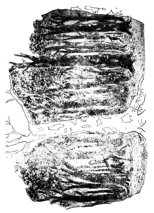 শশধর বাবু চেঁচিয়ে উঠলেন
