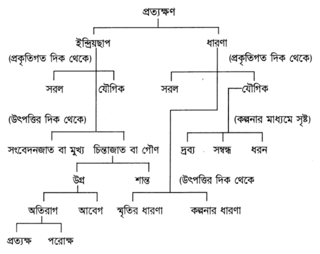হিউমের প্রত্যক্ষণের শ্রেণিবিভাগ