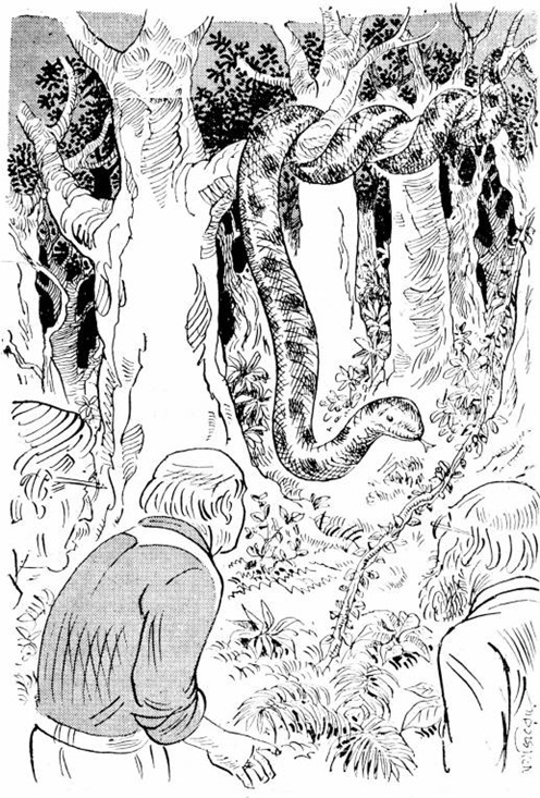 নকুড়বাবু ও এল ডোরাডো