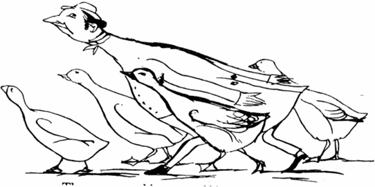 লিমেরিক