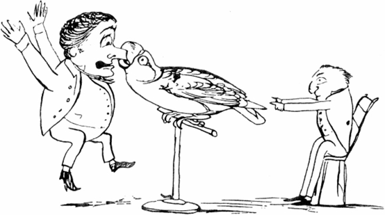 লিমেরিক