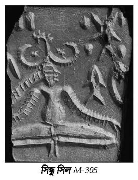 সিন্ধু সিন M-305