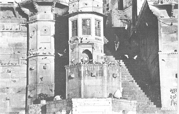 দ্বারভাঙ্গা ঘাট থেকে প্যালেসে ওঠার সিঁড়ি। পাশেই বুরুজে পায়রার ঝাঁক।