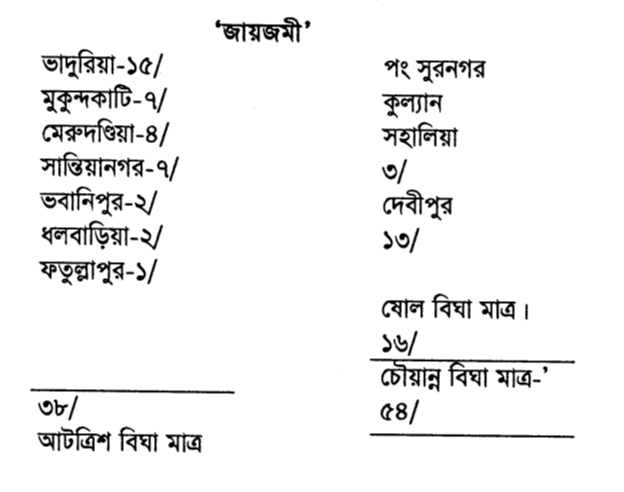 জায়জমী