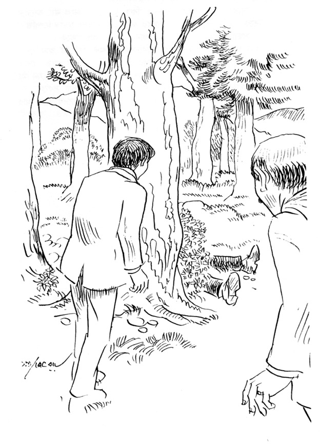 কিন্তু অন্ধকারের দিকে নয়, আলোর দিকে