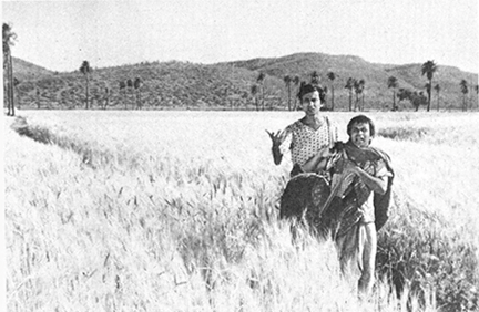 অবশেষে ‘শুণ্ডী’। এই দৃশ্য তোলা হয়েছিল রাজস্থানের কুঁদি শহরের কাছে।