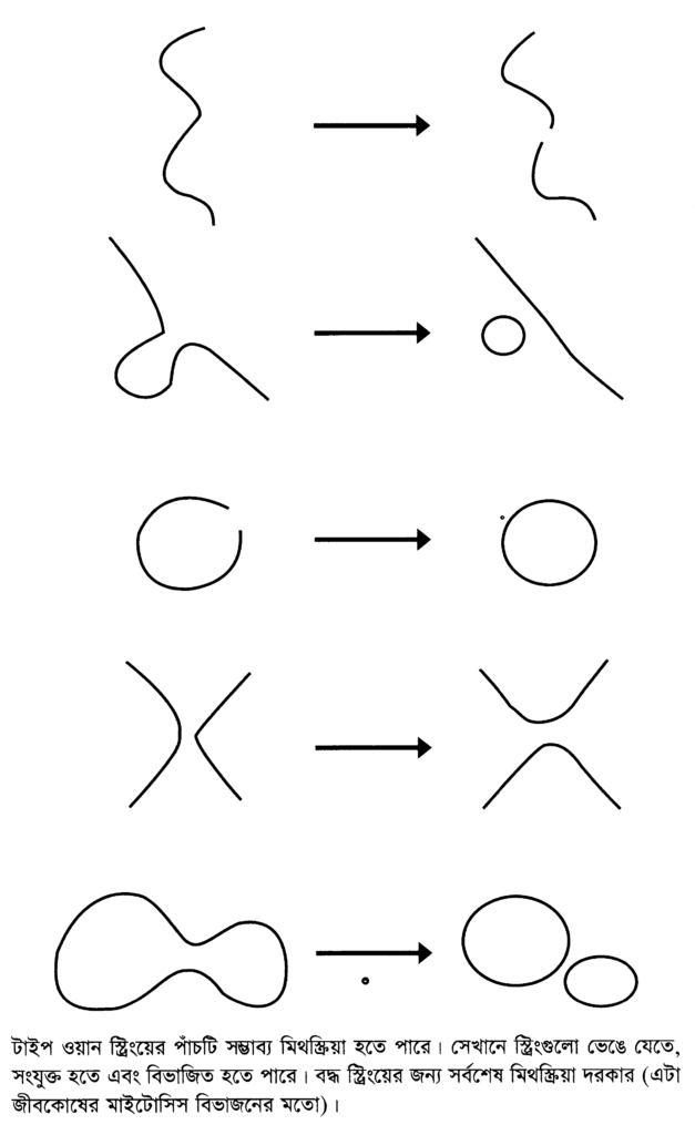 টাইপ ওয়ান স্ট্রিংয়ের পাঁচটি সম্ভাব্য মিথস্ক্রিয়া হতে পারে। সেখানে স্ট্রিংগুলো ভেঙে যেতে, সংযুক্ত হতে এবং বিভাজিত হতে পারে। বদ্ধ স্ট্রিংয়ের জন্য সর্বশেষ মিথস্ক্রিয়া দরকার (এটা জীবকোষের মাইটোসিস বিভাজনের মতো)।