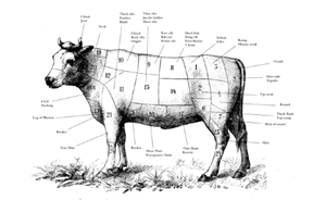 মাংসের বিভিন্ন কাট (উনবিংশ শতকের ছবি)