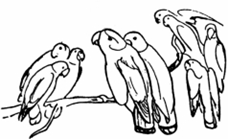 একটি পরিবারে ছিল বাবা-টিয়া মা-টিয়া আর তাদের সাতটি ছানা-টিয়া।