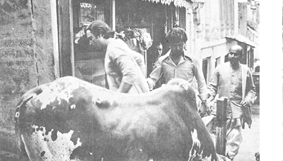 ফেলু আর তোপ্সে দিব্যি বেরিয়ে গেল।