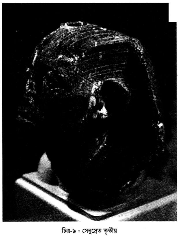চিত্র-৯ : সেনুস্রেত তৃতীয় 