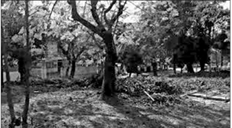 বাংলোর ঠিক এখানে পোঁতা হয় মৃতদেহ