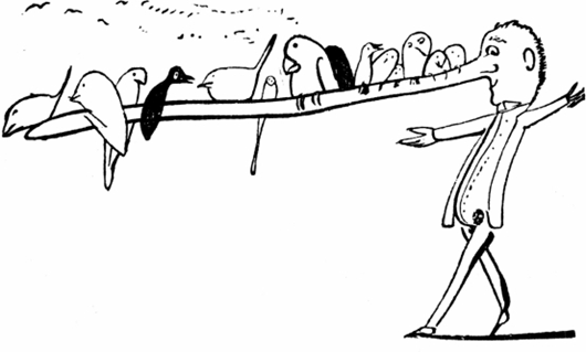 লিমেরিক