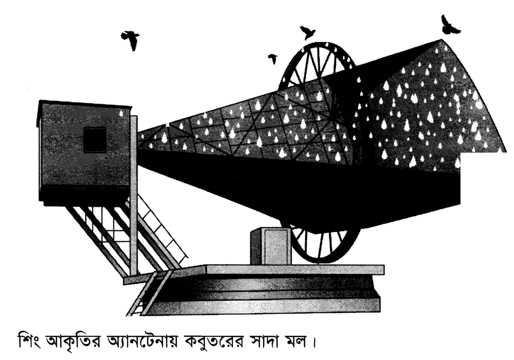 শিং আকৃতির অ্যানটেনায় কবুতরের সাদা মল।