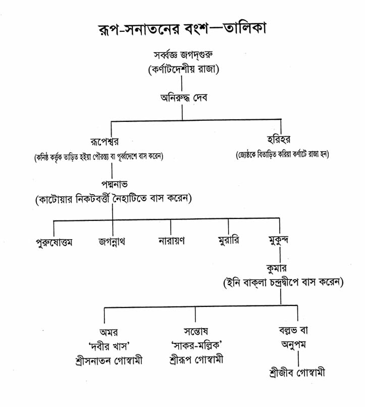 রূপ-সনাতনের বংশ-তালিকা