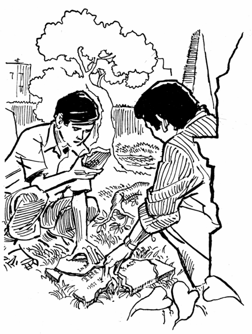 গোরস্থানে সাবধান