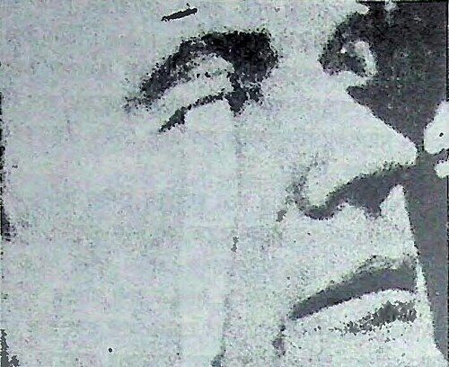 অ্যারিগো