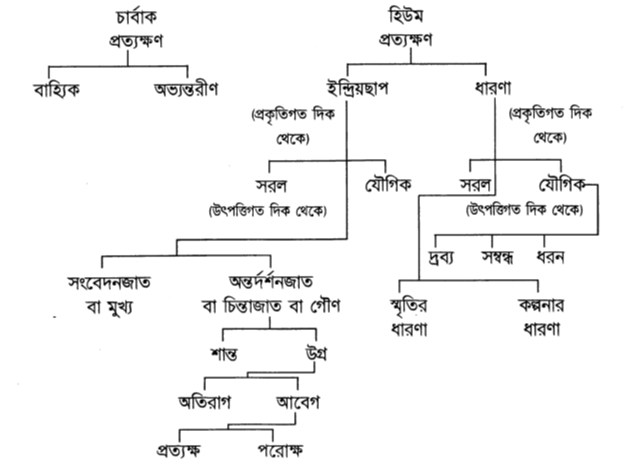চার্বাক ও হিউমের প্রত্যক্ষণের বিভাজন ছক 