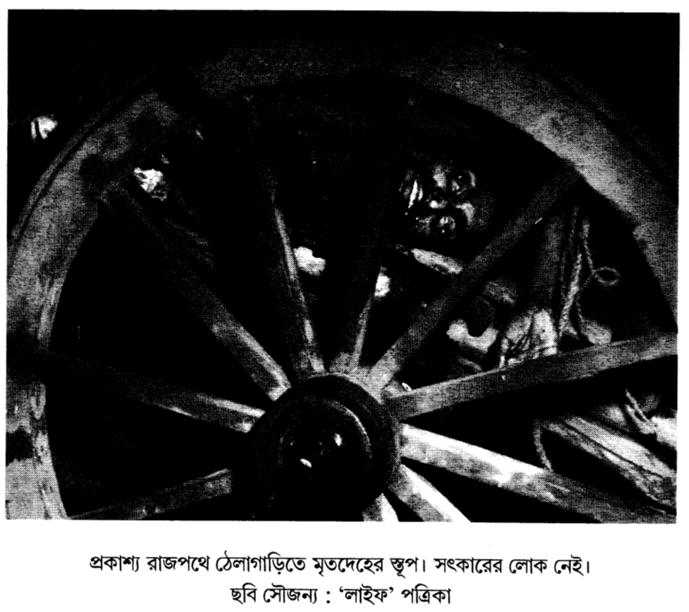 প্রকাশ্য রাজপথে ঠেলাগাড়িতে মৃতদেহের স্তূপ। সৎকারের লোক নেই। ছবি সৌজন্য : ‘লাইফ’ পত্রিকা