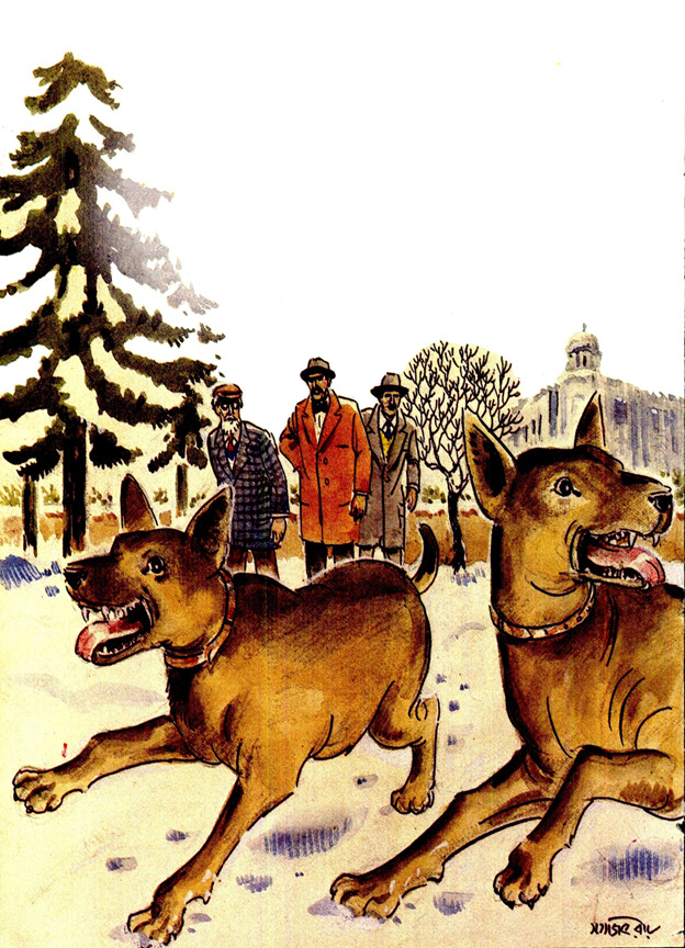 আশ্চর্জন্তু