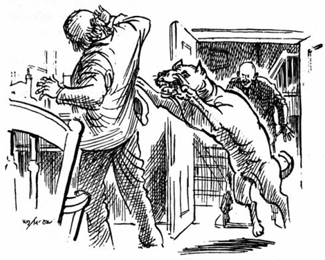 আশ্চর্য প্ৰাণী