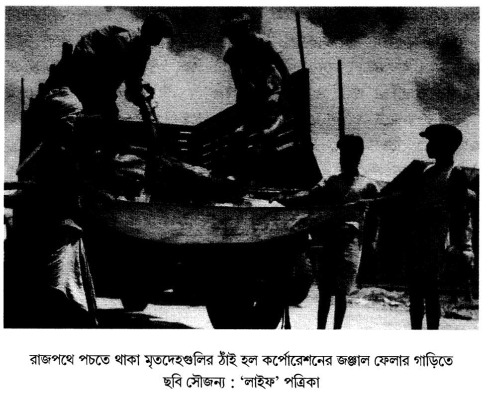 রাজপথে পচতে থাকা মৃতদেহগুলির ঠাঁই হল কর্পোরেশনের জঞ্জাল ফেলার গাড়িতে। ছবি সৌজন্য : ‘লাইফ’ পত্রিকা