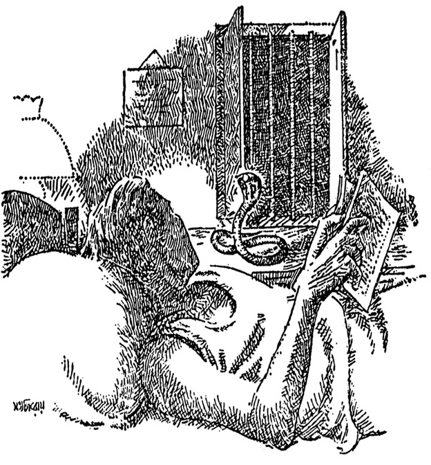 মিঃ শাসমলের শেষ রাত্রি