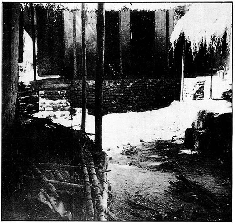 বোড়ালে যে-বাড়ি ভাড়া নেওয়া হয়।