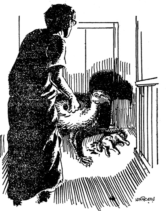 বৃহচ্চঞ্চু