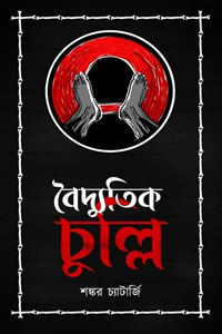 বৈদ্যুতিক চুল্লি