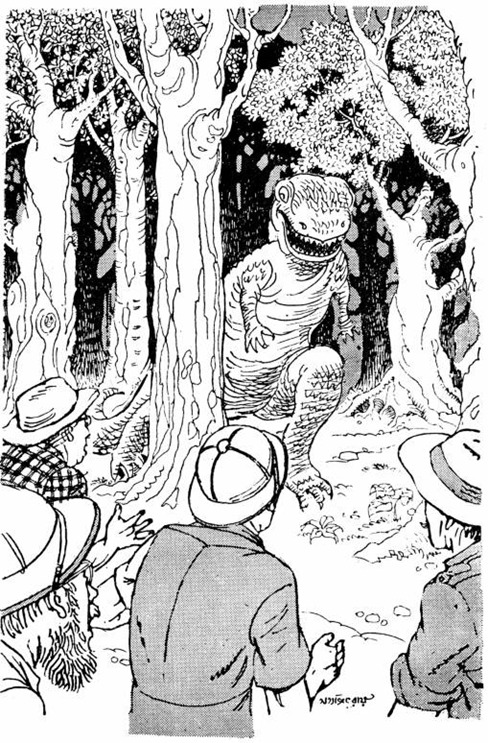 শঙ্কুর কঙ্গো অভিযান