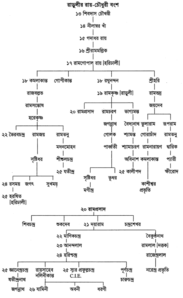 রাড়ুলীর রায়-চৌধুরী বংশ
