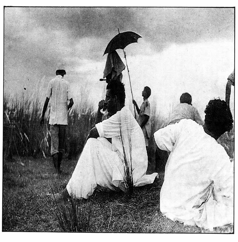 পথের পাঁচালি: কাশবনে পরিচালক ও অন্যরা।