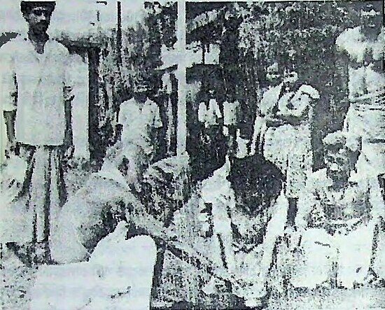 বাটি চালানোর একটি দৃশ্য